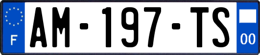 AM-197-TS
