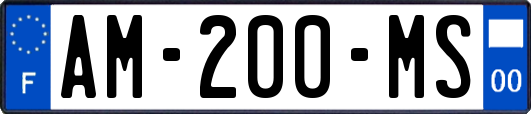 AM-200-MS