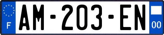 AM-203-EN