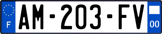 AM-203-FV