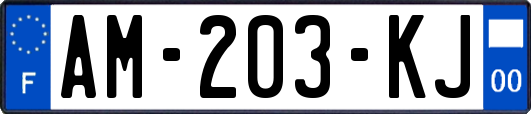 AM-203-KJ
