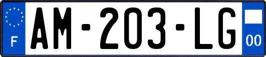 AM-203-LG