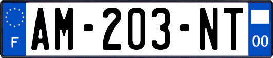 AM-203-NT