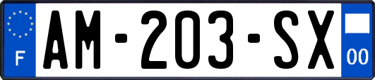 AM-203-SX