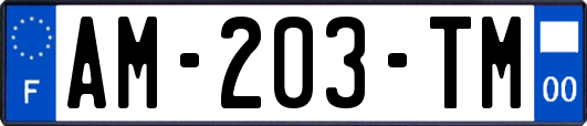 AM-203-TM
