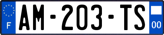 AM-203-TS