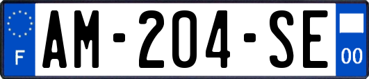 AM-204-SE