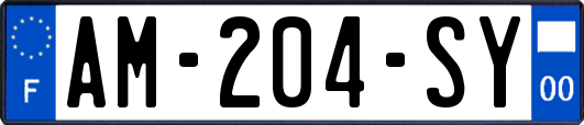 AM-204-SY