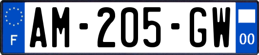 AM-205-GW