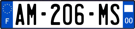 AM-206-MS