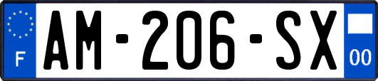 AM-206-SX