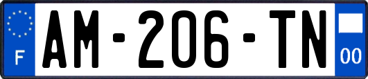 AM-206-TN
