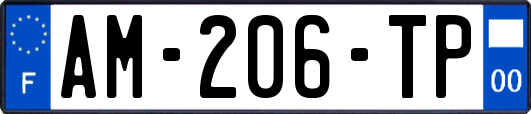 AM-206-TP