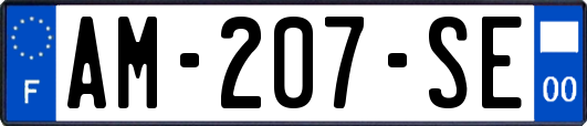 AM-207-SE