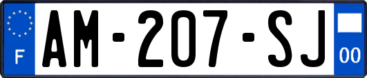 AM-207-SJ