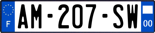 AM-207-SW