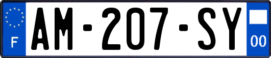 AM-207-SY