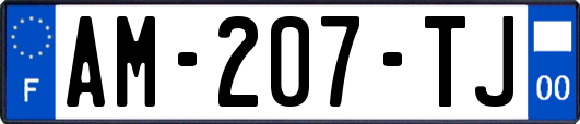 AM-207-TJ