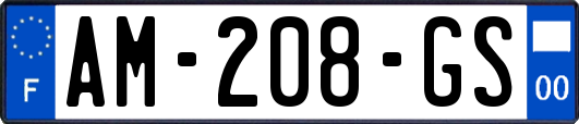 AM-208-GS