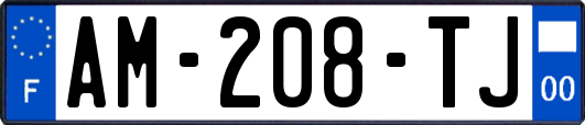 AM-208-TJ