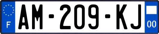 AM-209-KJ