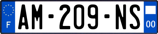 AM-209-NS