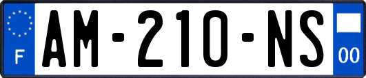 AM-210-NS