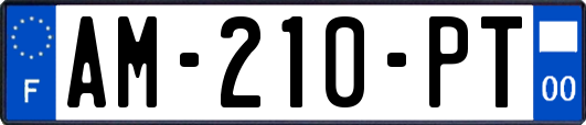 AM-210-PT