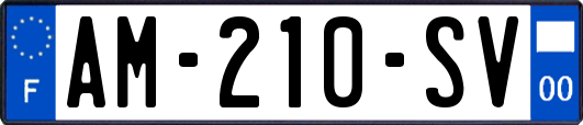 AM-210-SV