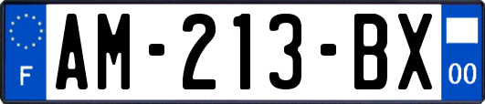 AM-213-BX