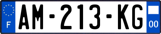 AM-213-KG