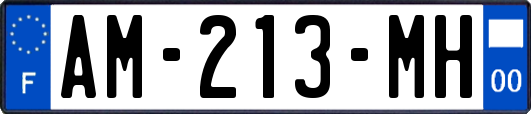 AM-213-MH