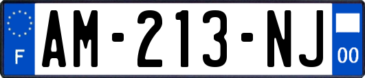 AM-213-NJ