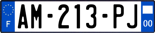 AM-213-PJ
