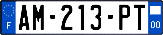 AM-213-PT