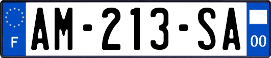 AM-213-SA