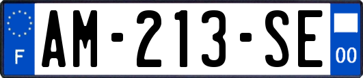 AM-213-SE