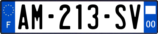 AM-213-SV