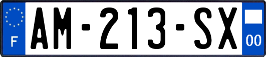 AM-213-SX
