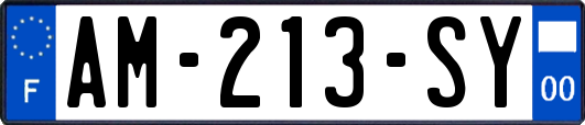 AM-213-SY