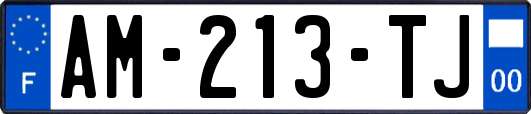 AM-213-TJ