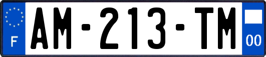 AM-213-TM