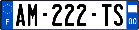 AM-222-TS