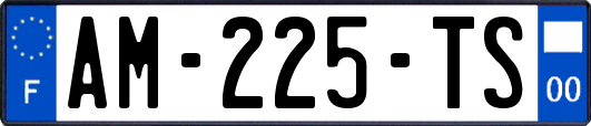 AM-225-TS