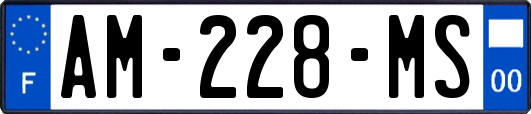AM-228-MS