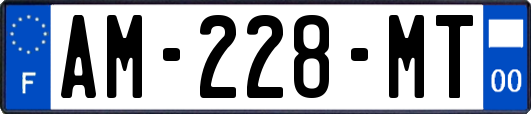 AM-228-MT