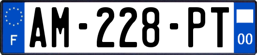 AM-228-PT