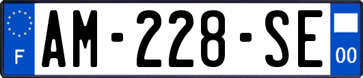 AM-228-SE