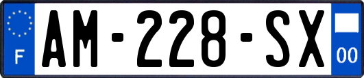 AM-228-SX