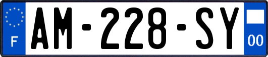 AM-228-SY